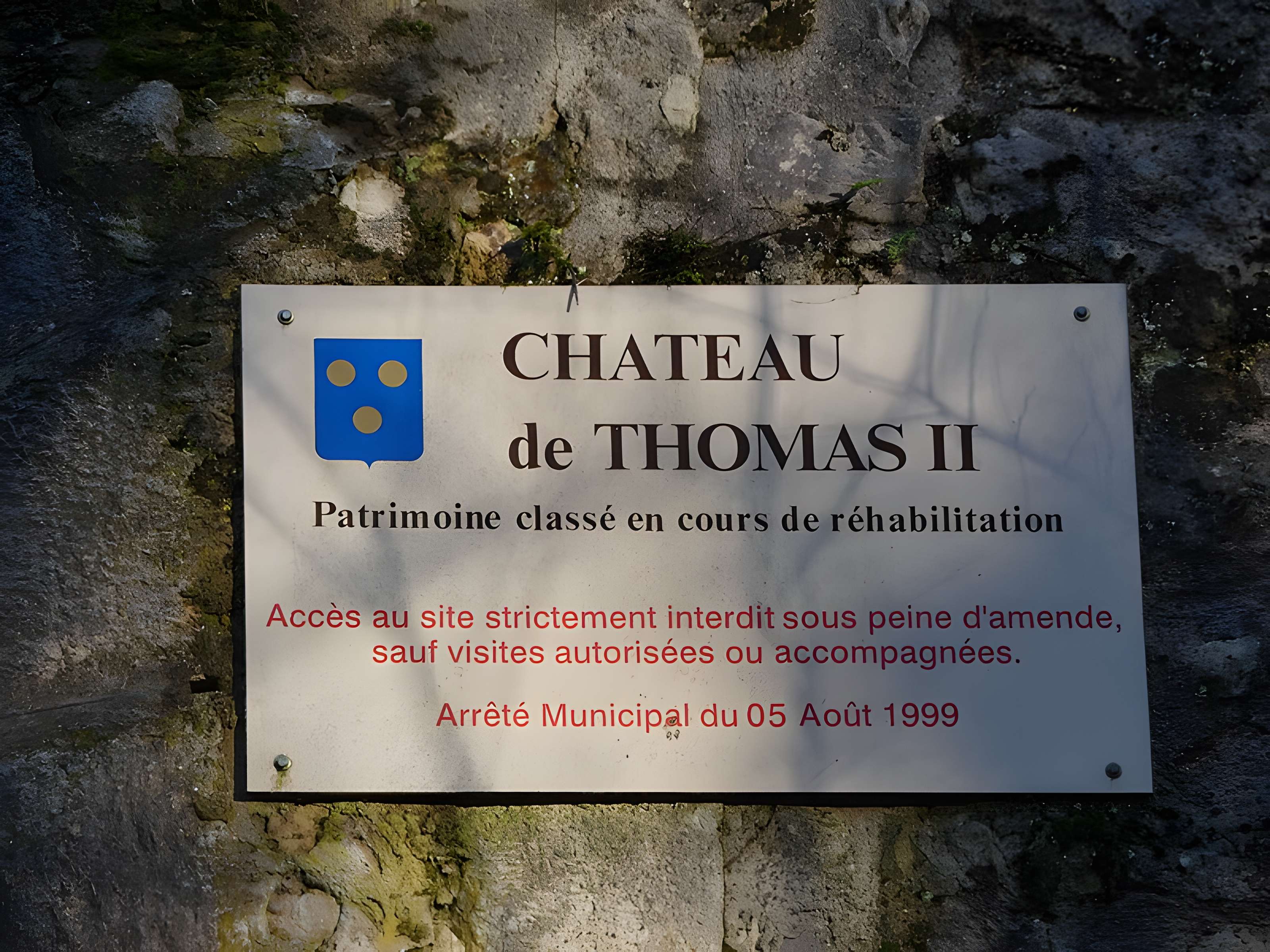 Château de Thomas de Savoie (ruines)