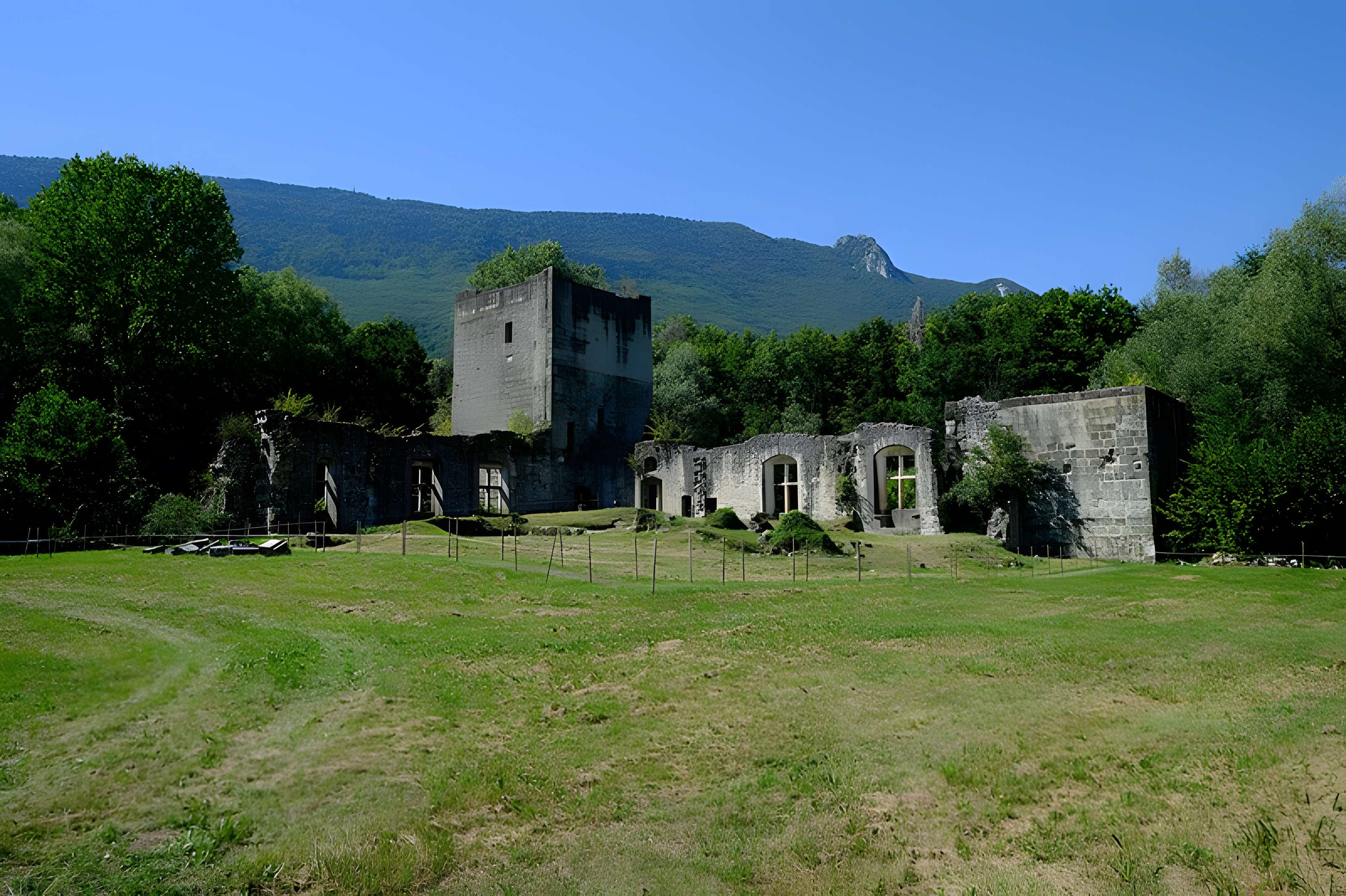 Château de Thomas de Savoie (ruines)