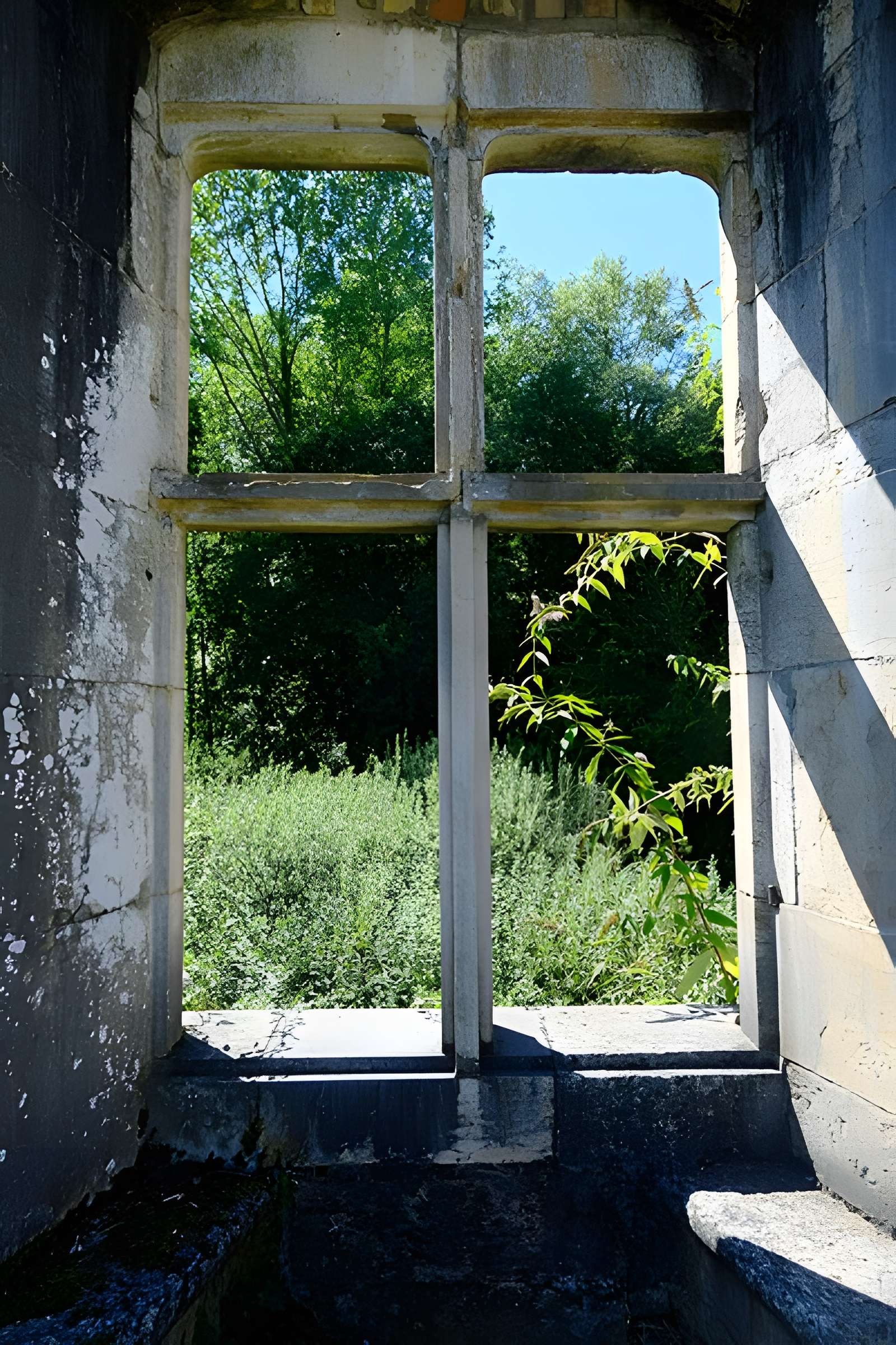 Château de Thomas de Savoie (ruines)