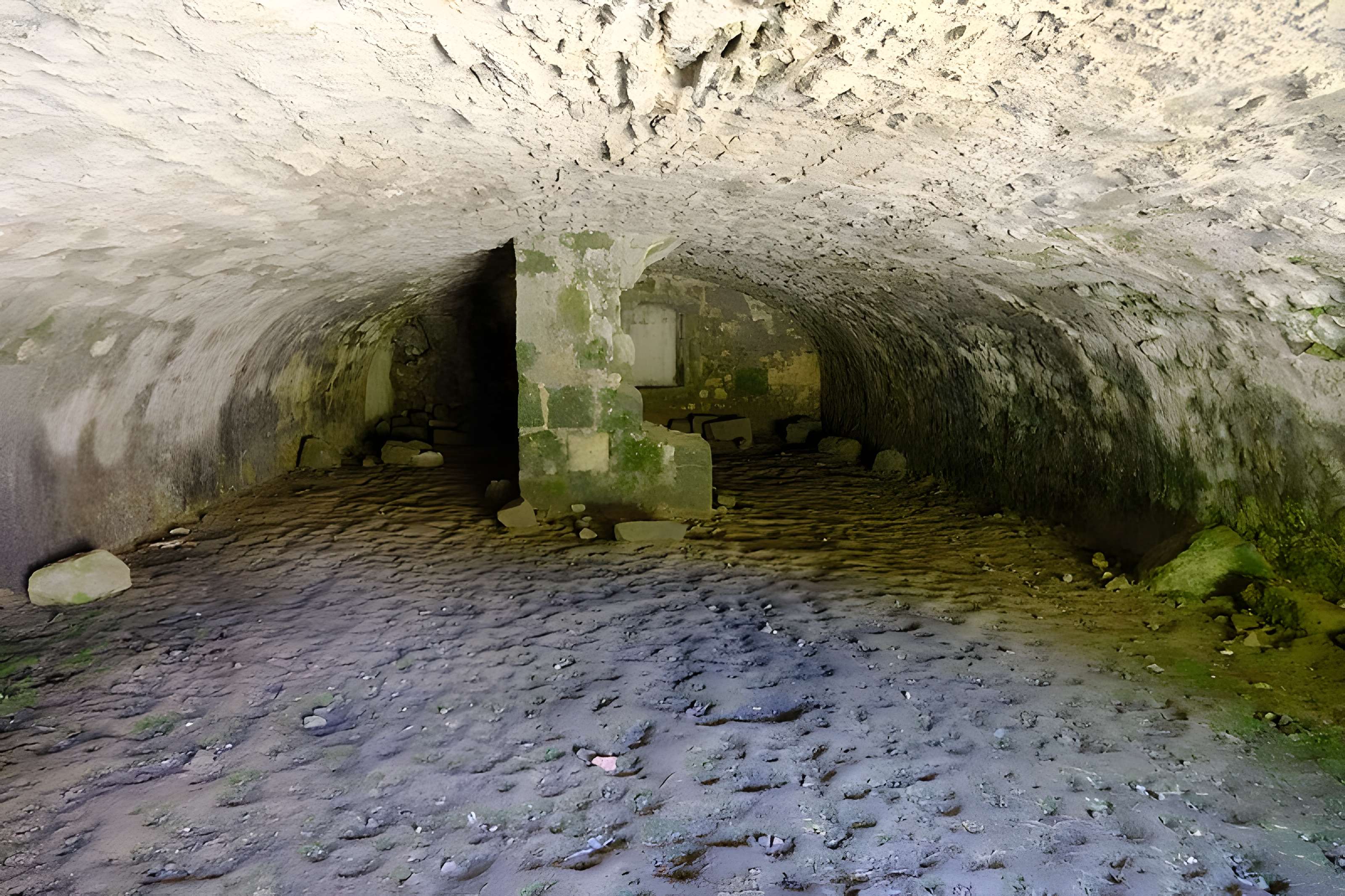 Château de Thomas de Savoie (ruines)