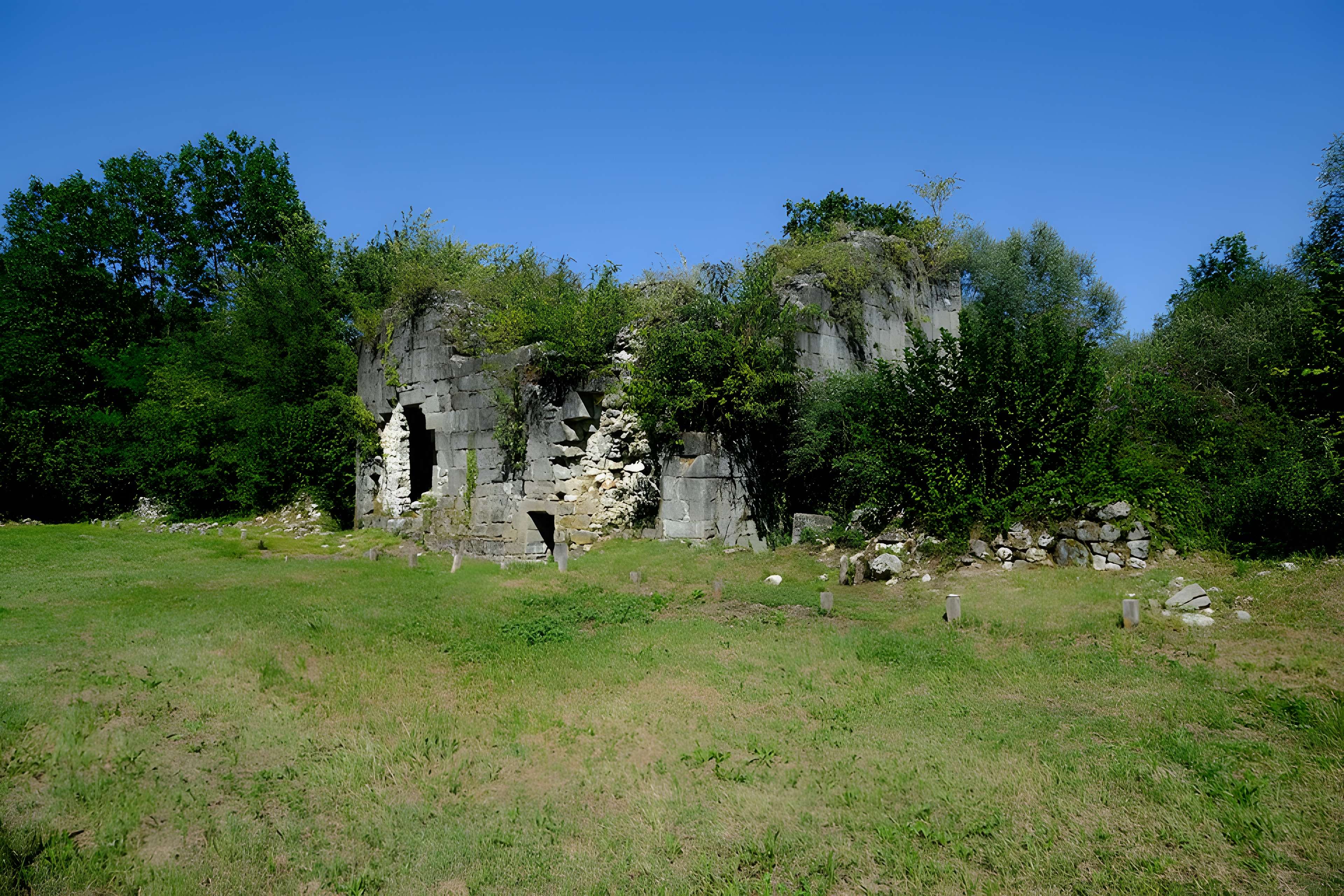 Château de Thomas de Savoie (ruines)