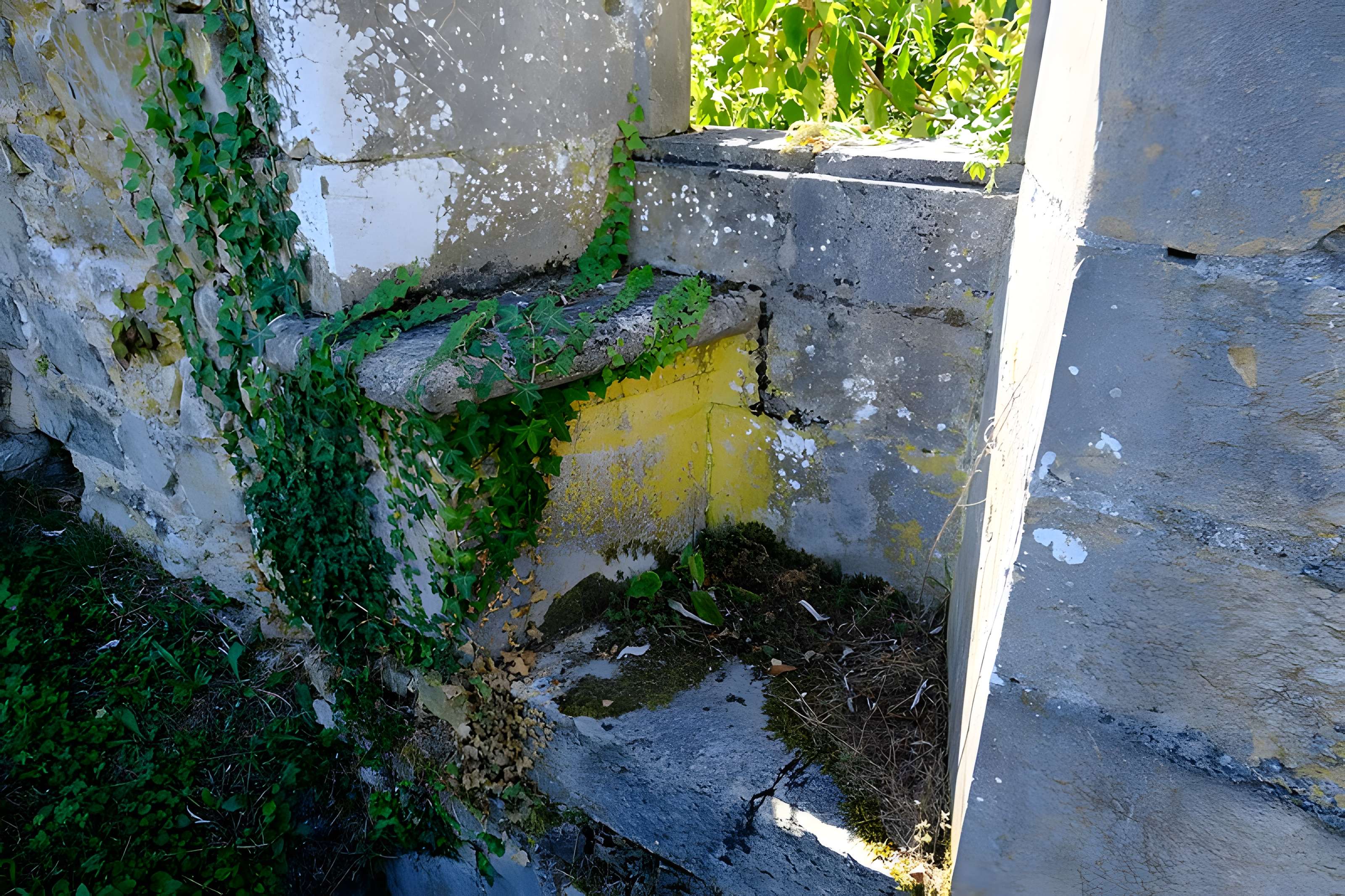 Château de Thomas de Savoie (ruines)