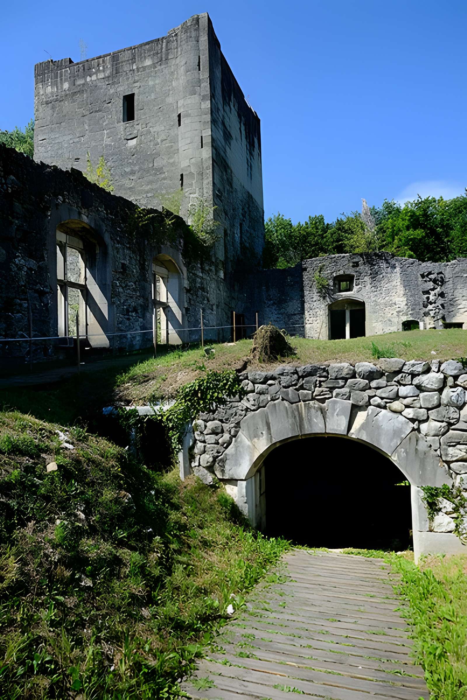 Château de Thomas de Savoie (ruines)