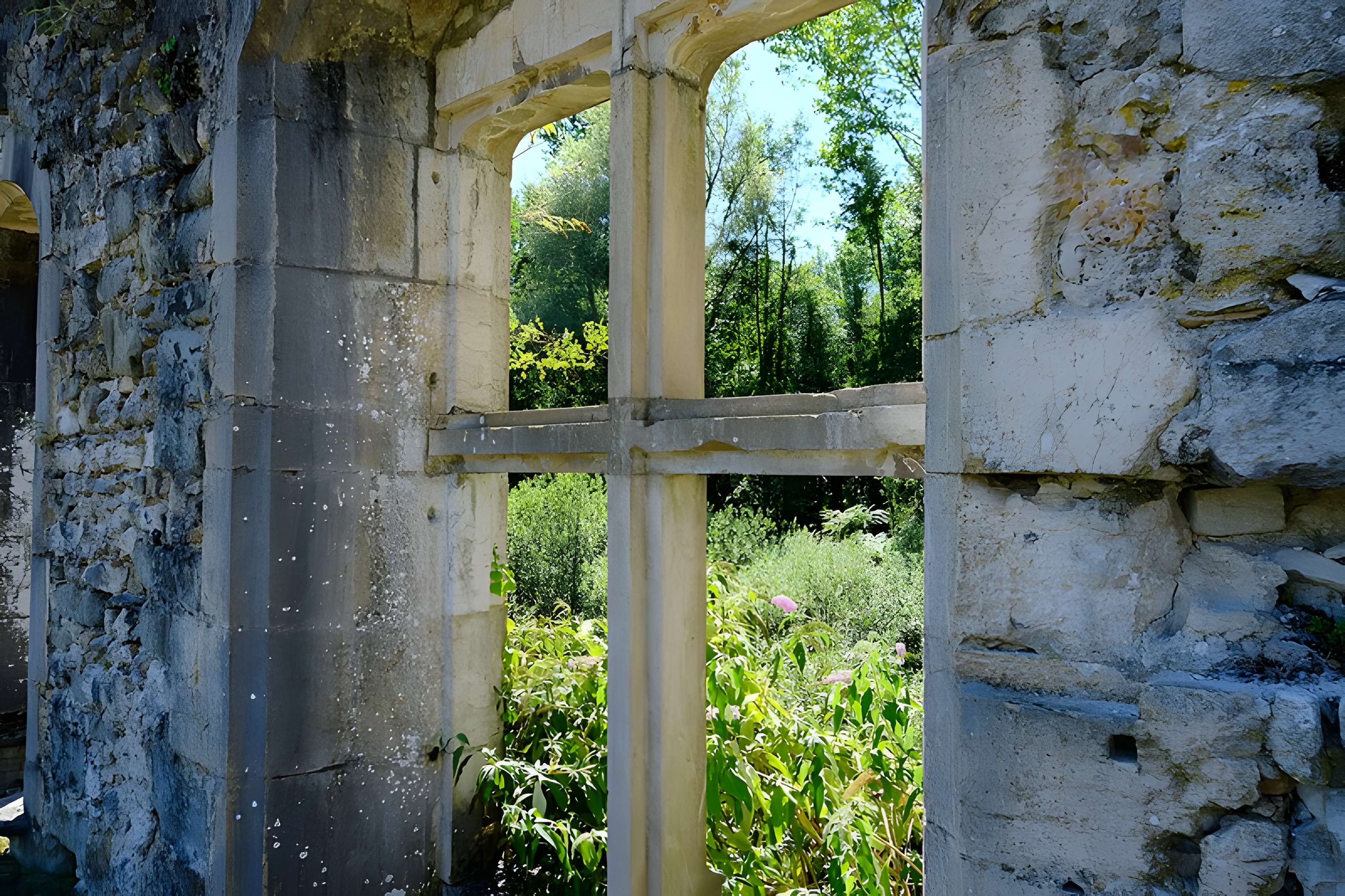 Château de Thomas de Savoie (ruines)