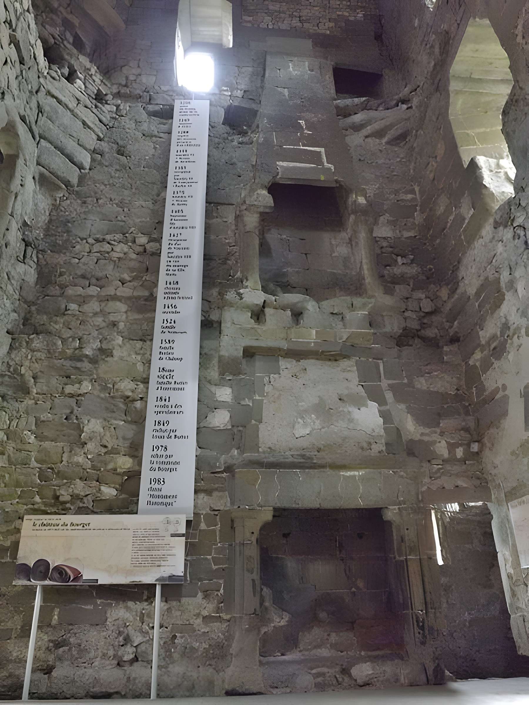 Château de Thomas de Savoie (ruines)