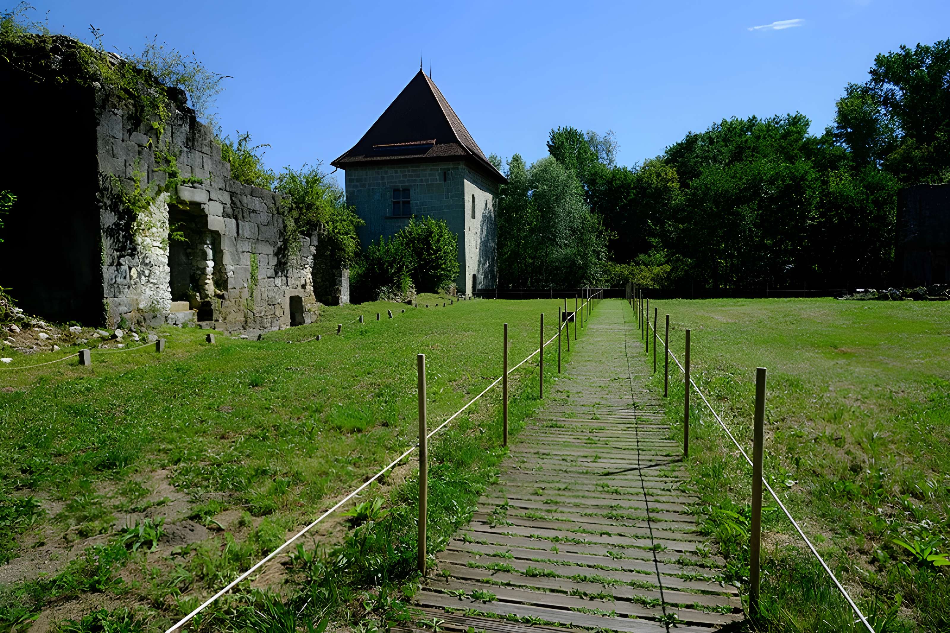 Château de Thomas de Savoie (ruines)