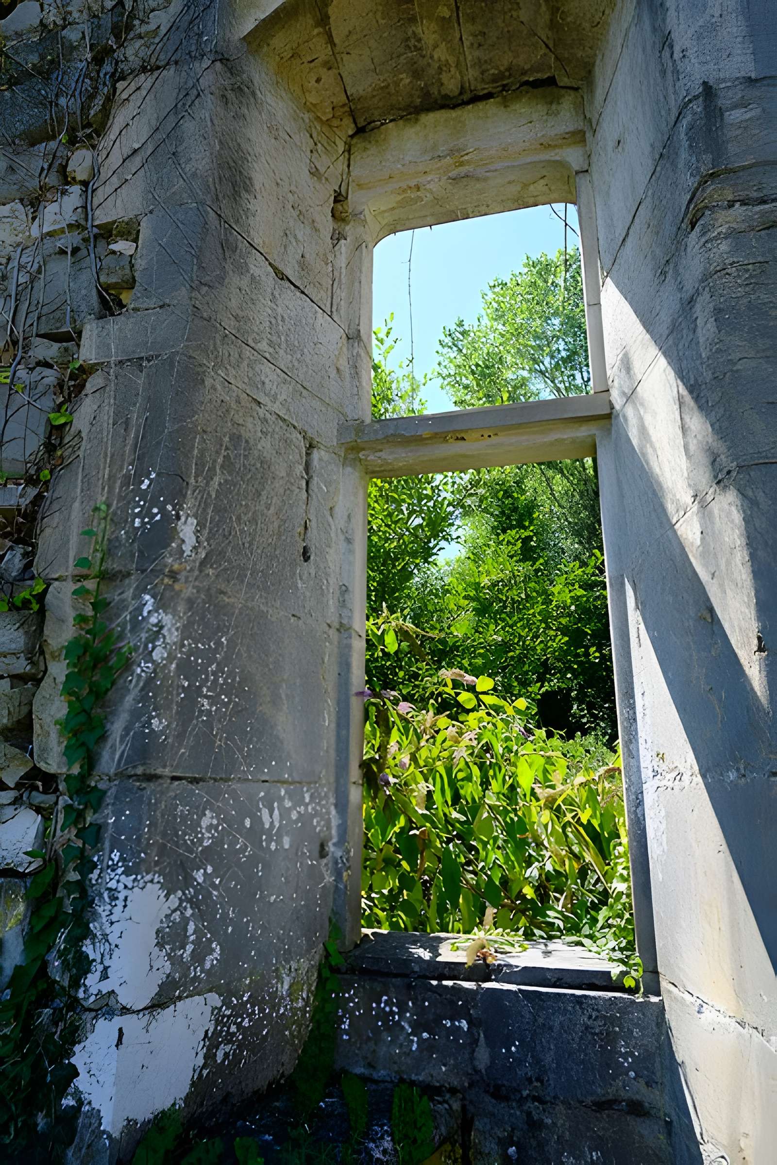 Château de Thomas de Savoie (ruines)