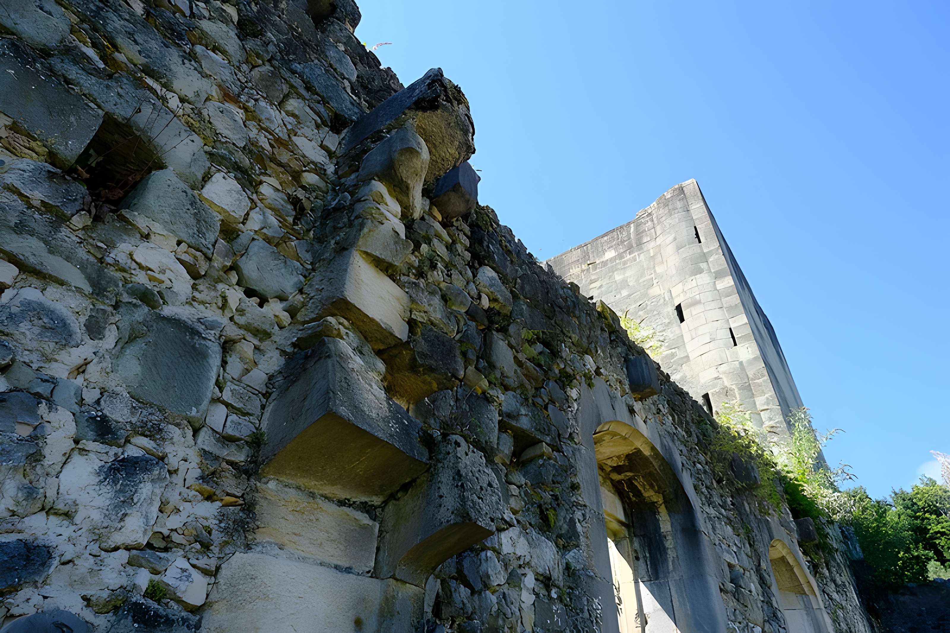 Château de Thomas de Savoie (ruines)