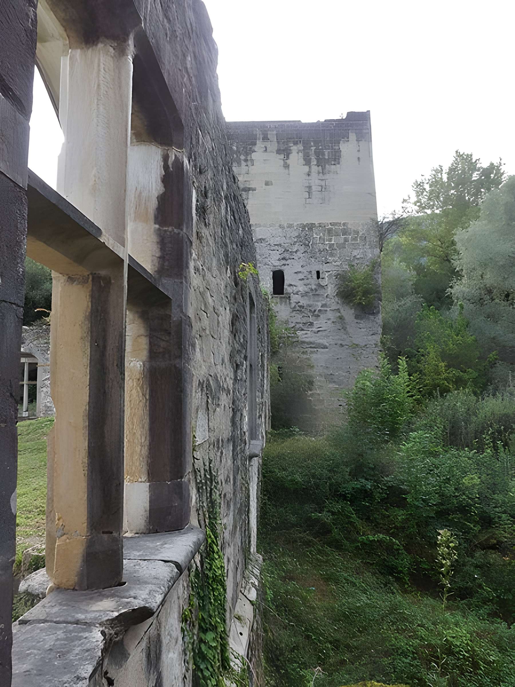 Château de Thomas de Savoie (ruines)