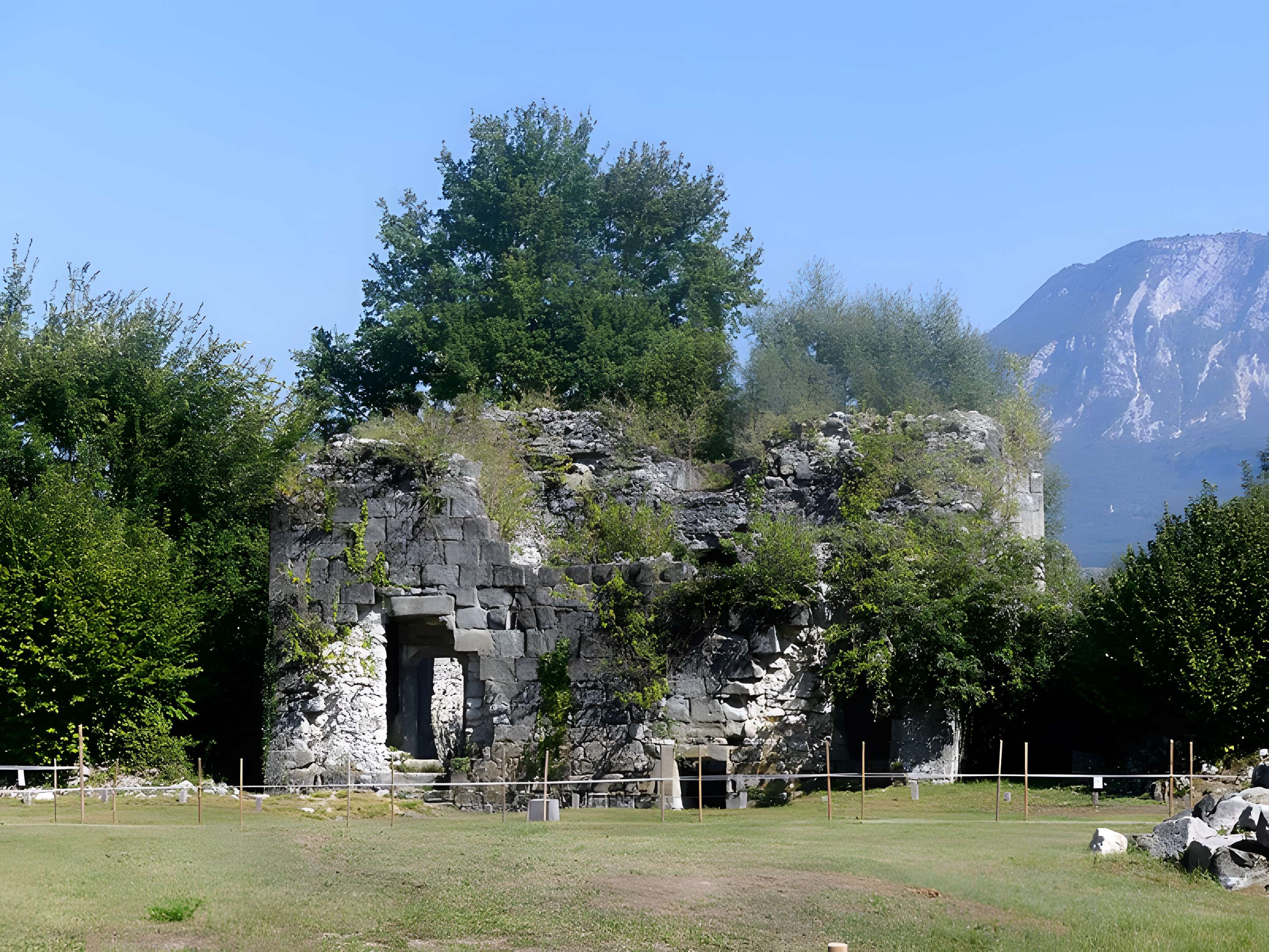 Château de Thomas de Savoie (ruines)