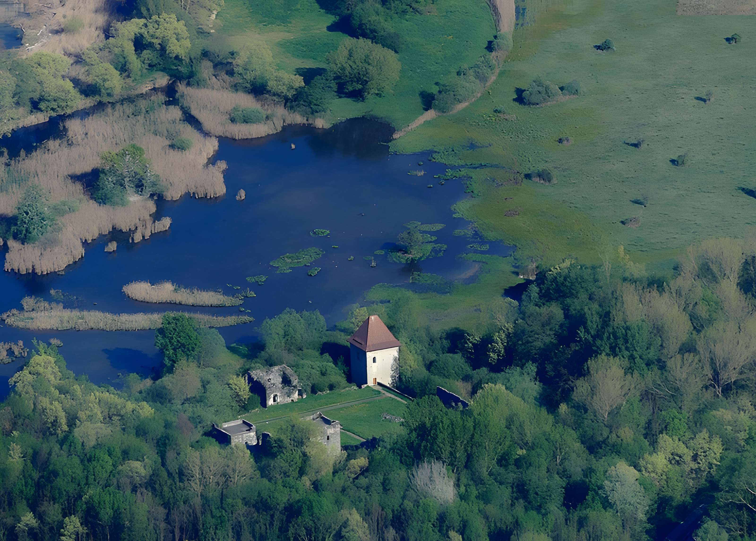 Château de Thomas de Savoie (ruines)