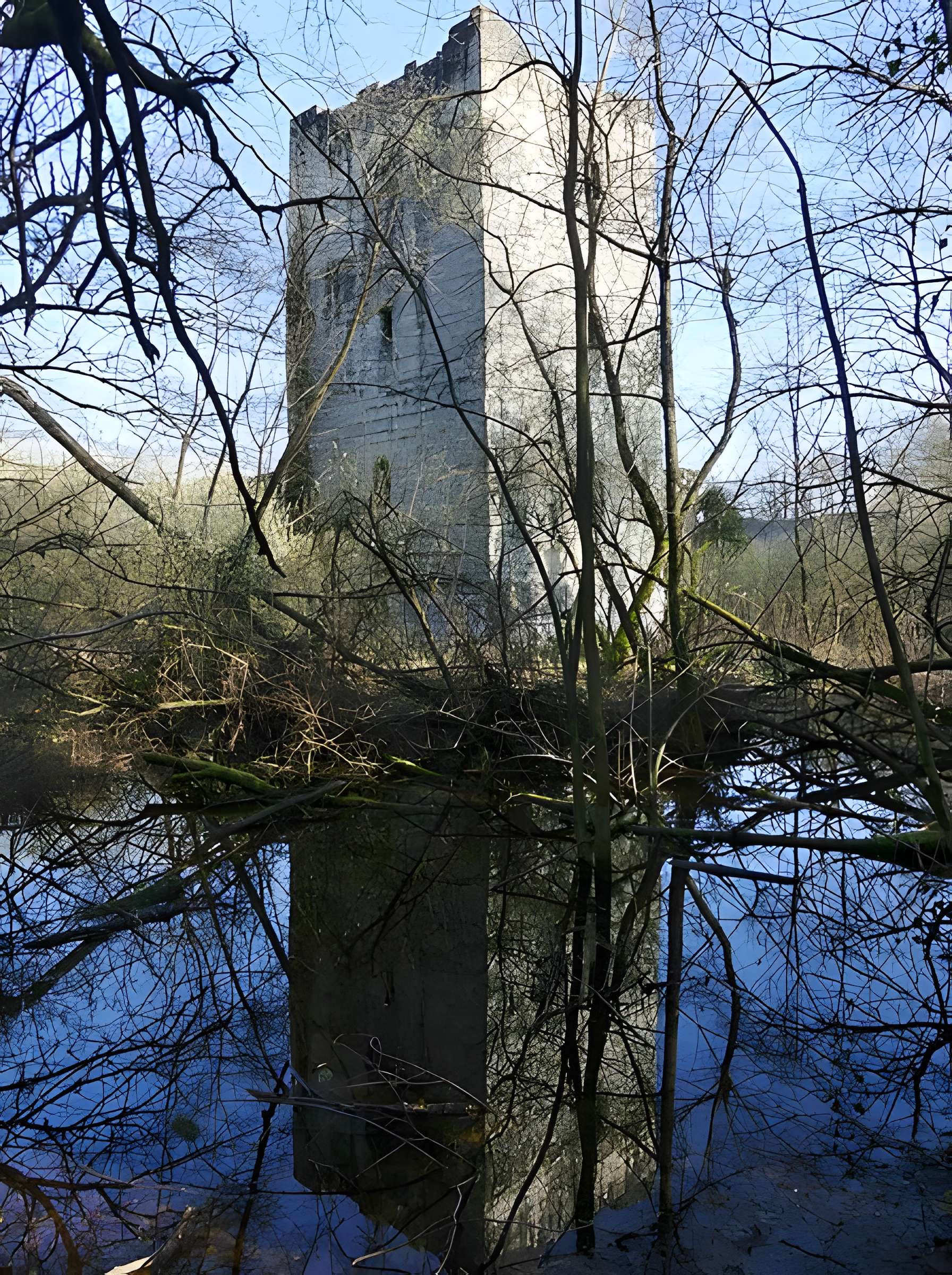 Château de Thomas de Savoie (ruines)
