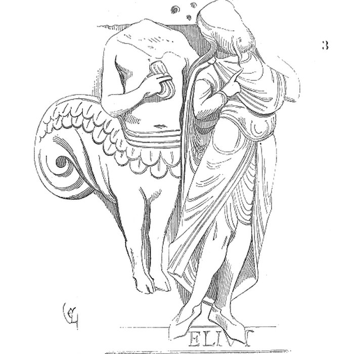 Photo de Musée Calvet et musée Lapidaire