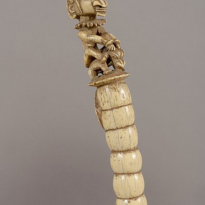 Photo de Musée Calvet et musée Lapidaire