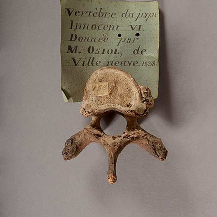 Photo de Musée Calvet et musée Lapidaire