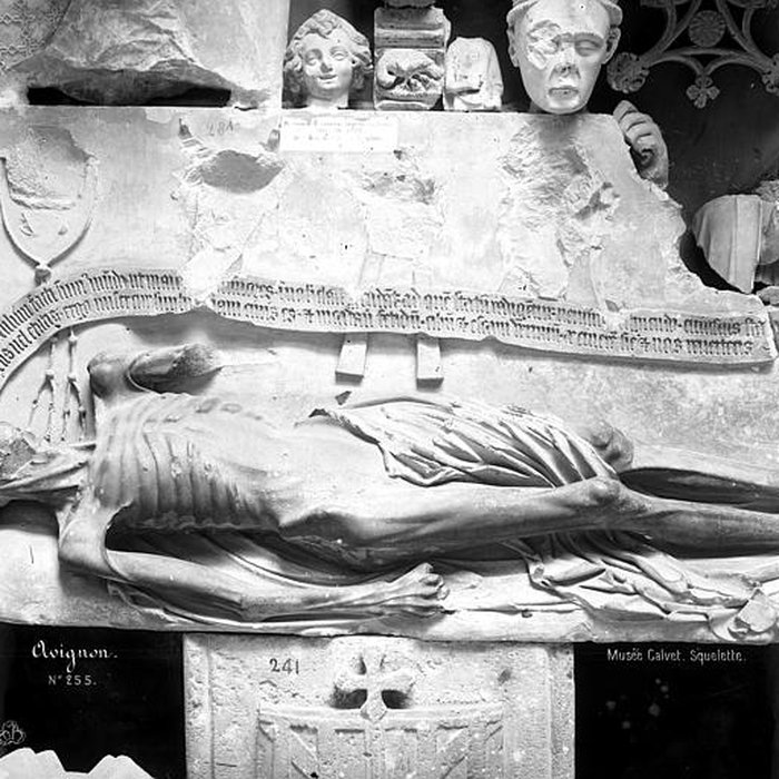 Photo de Musée Calvet et musée Lapidaire