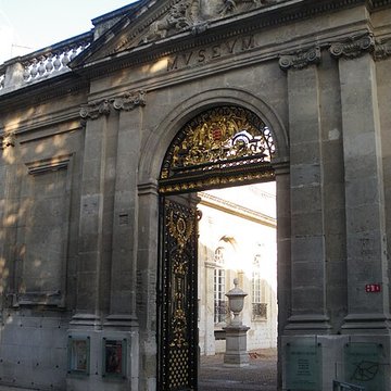 Musée Calvet à Avignon
