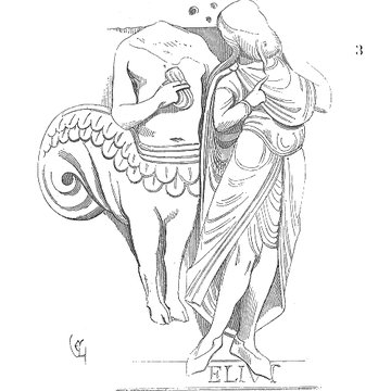 Musée Calvet et musée Lapidaire