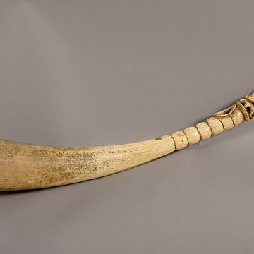 Musée Calvet et musée Lapidaire