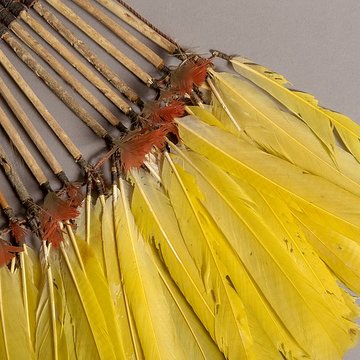 Musée Calvet et musée Lapidaire