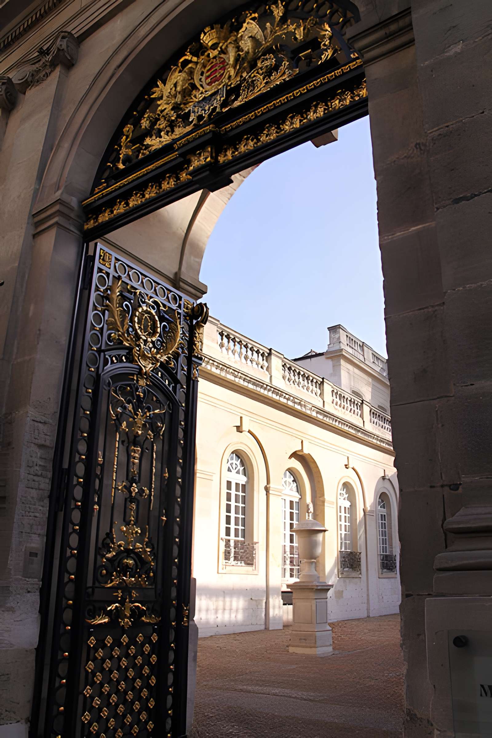 Musée Calvet à Avignon