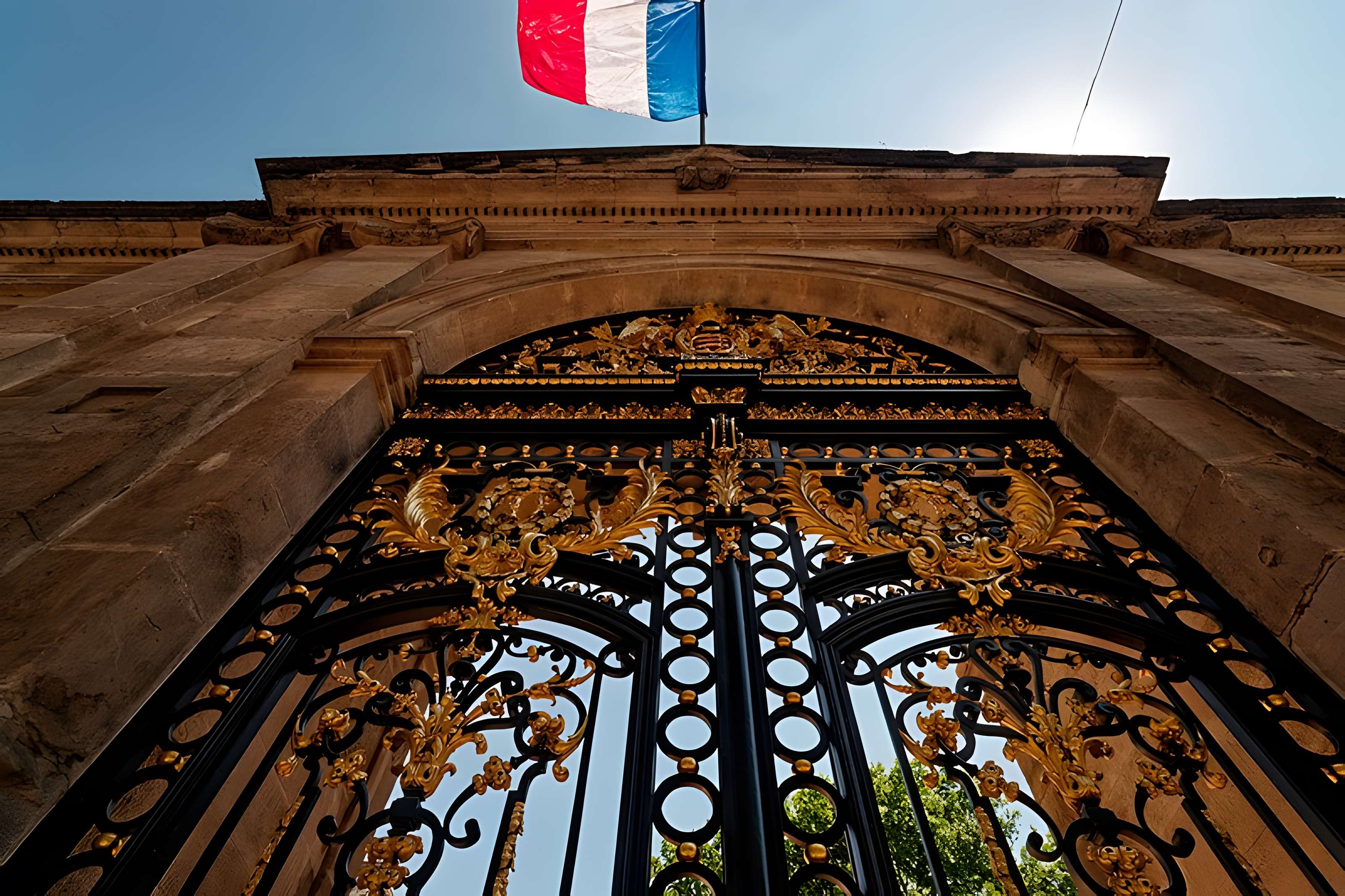 Musée Calvet à Avignon