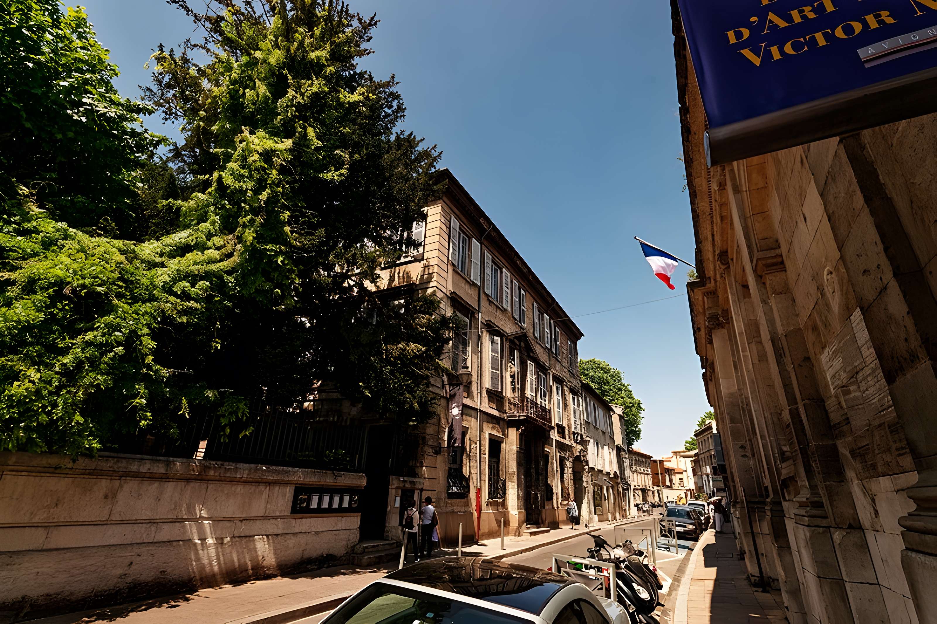 Musée Calvet à Avignon