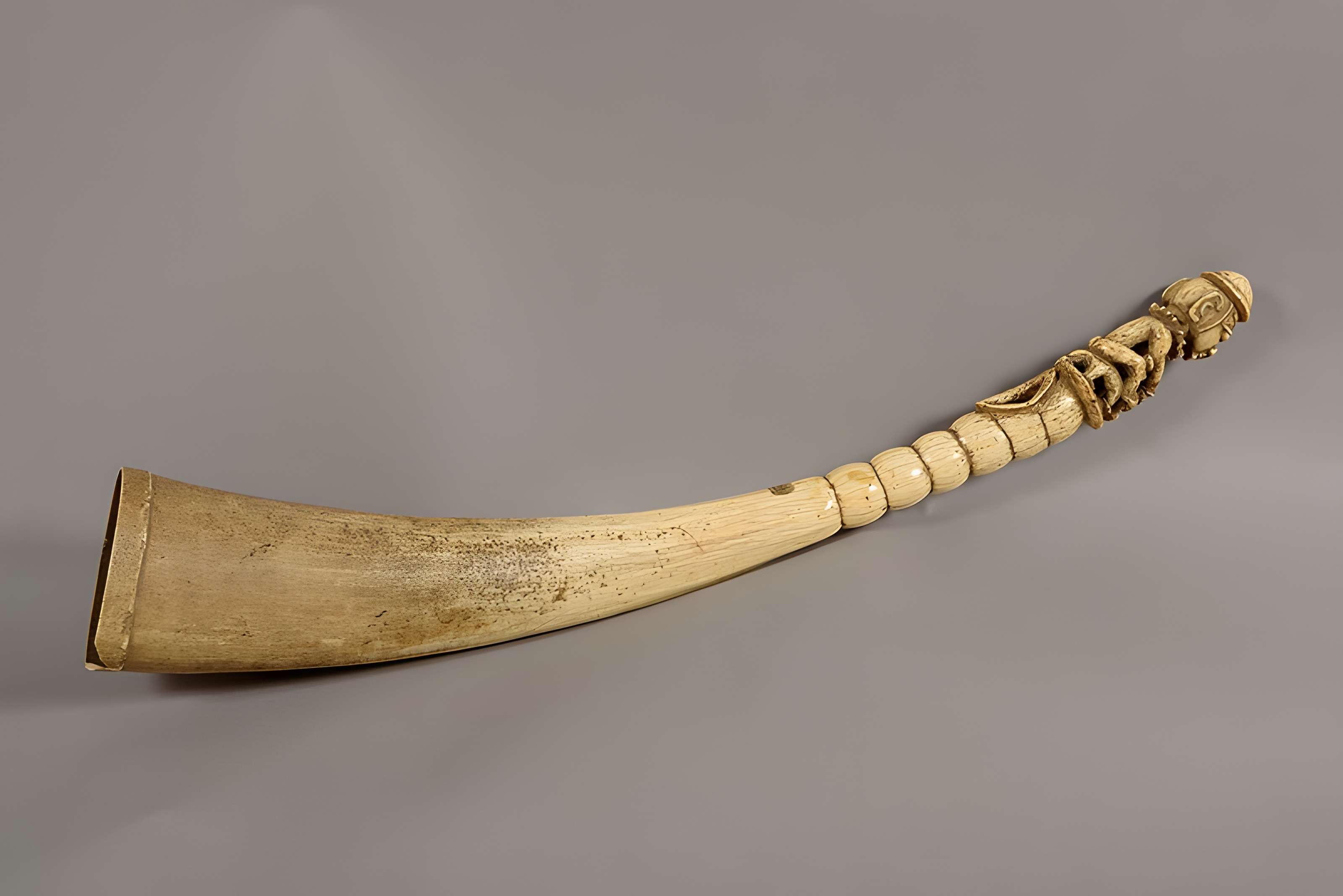 Musée Calvet (et musée Lapidaire)