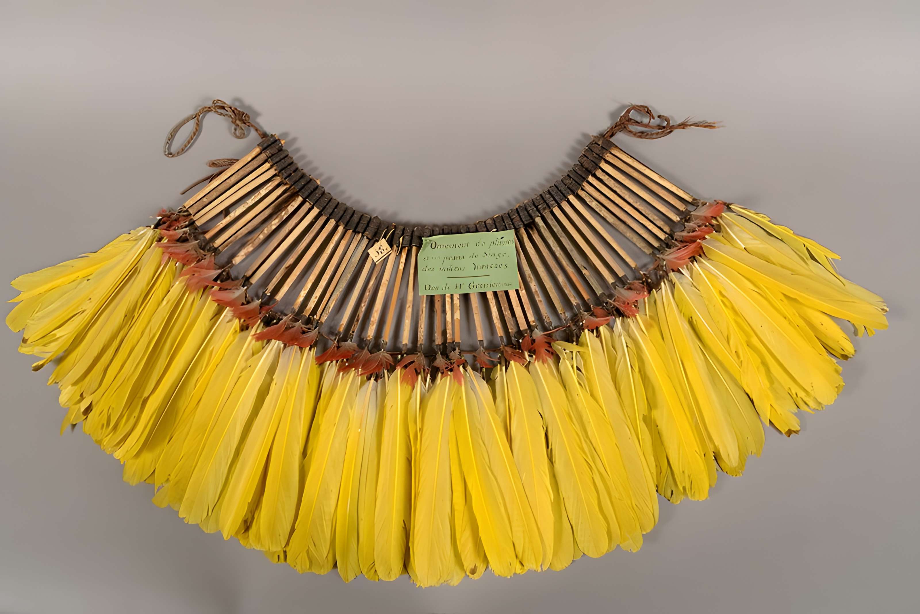 Musée Calvet (et musée Lapidaire)