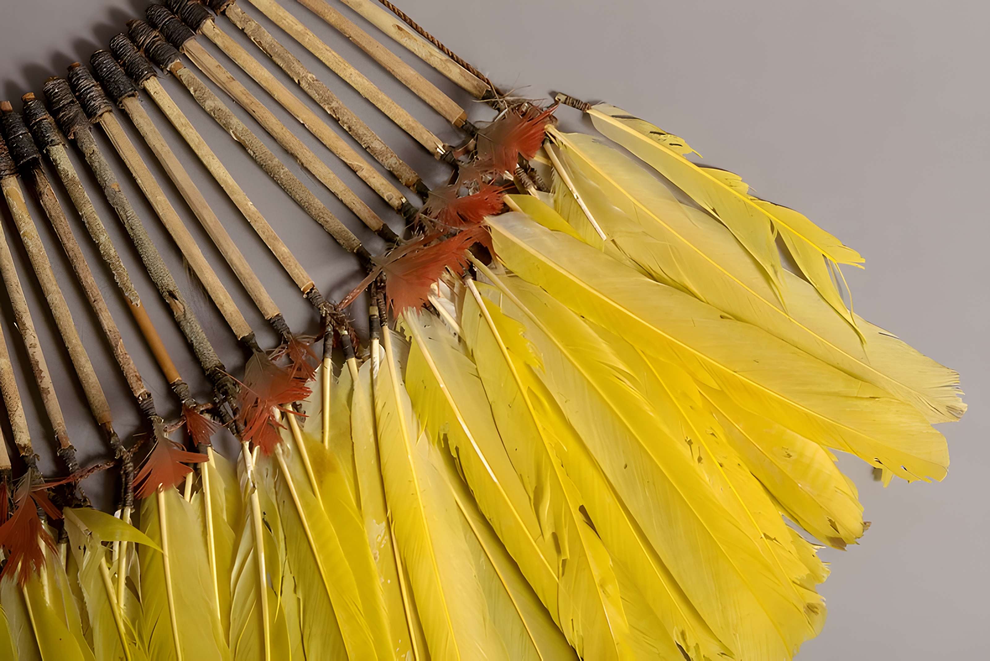 Musée Calvet (et musée Lapidaire)