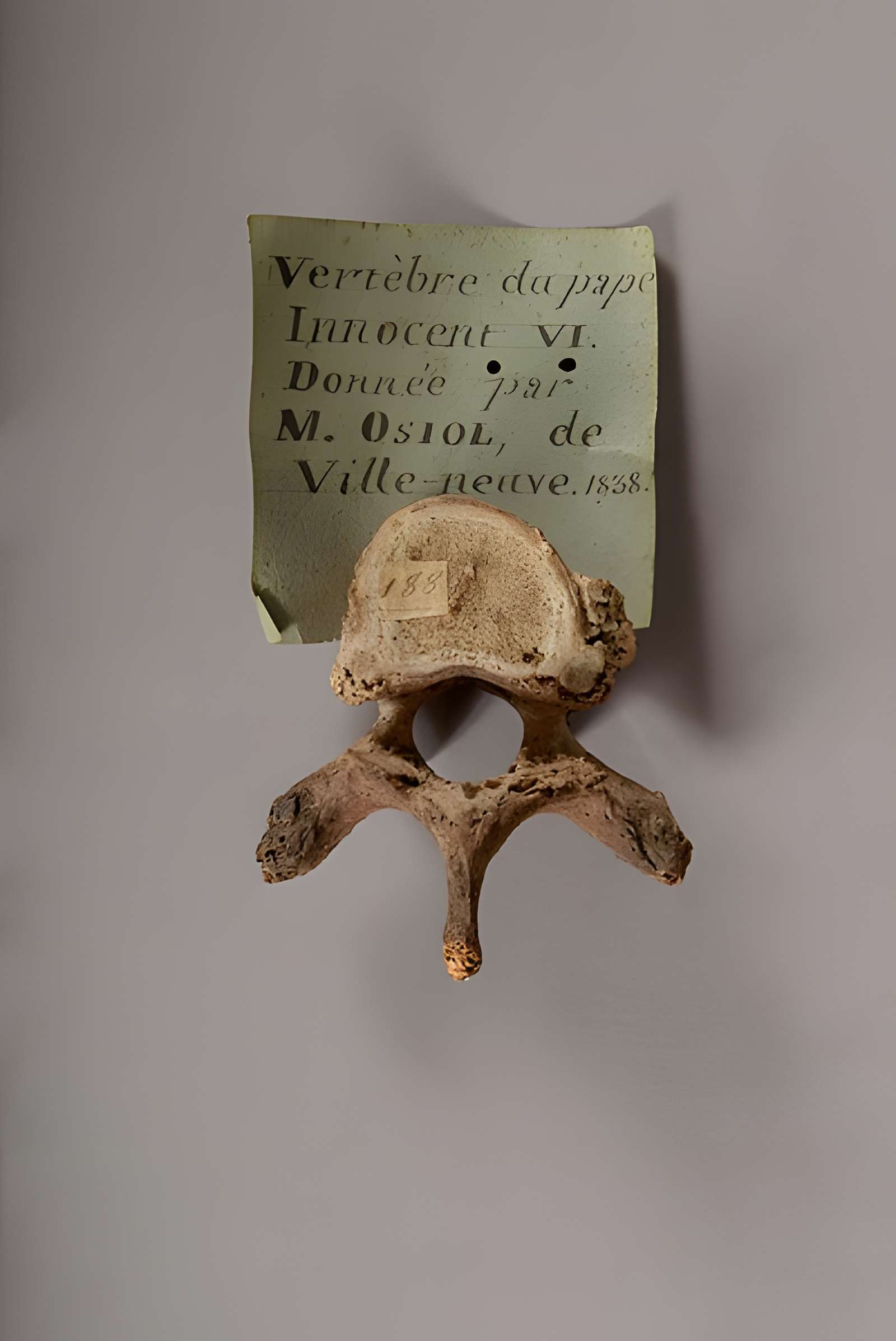 Musée Calvet (et musée Lapidaire)