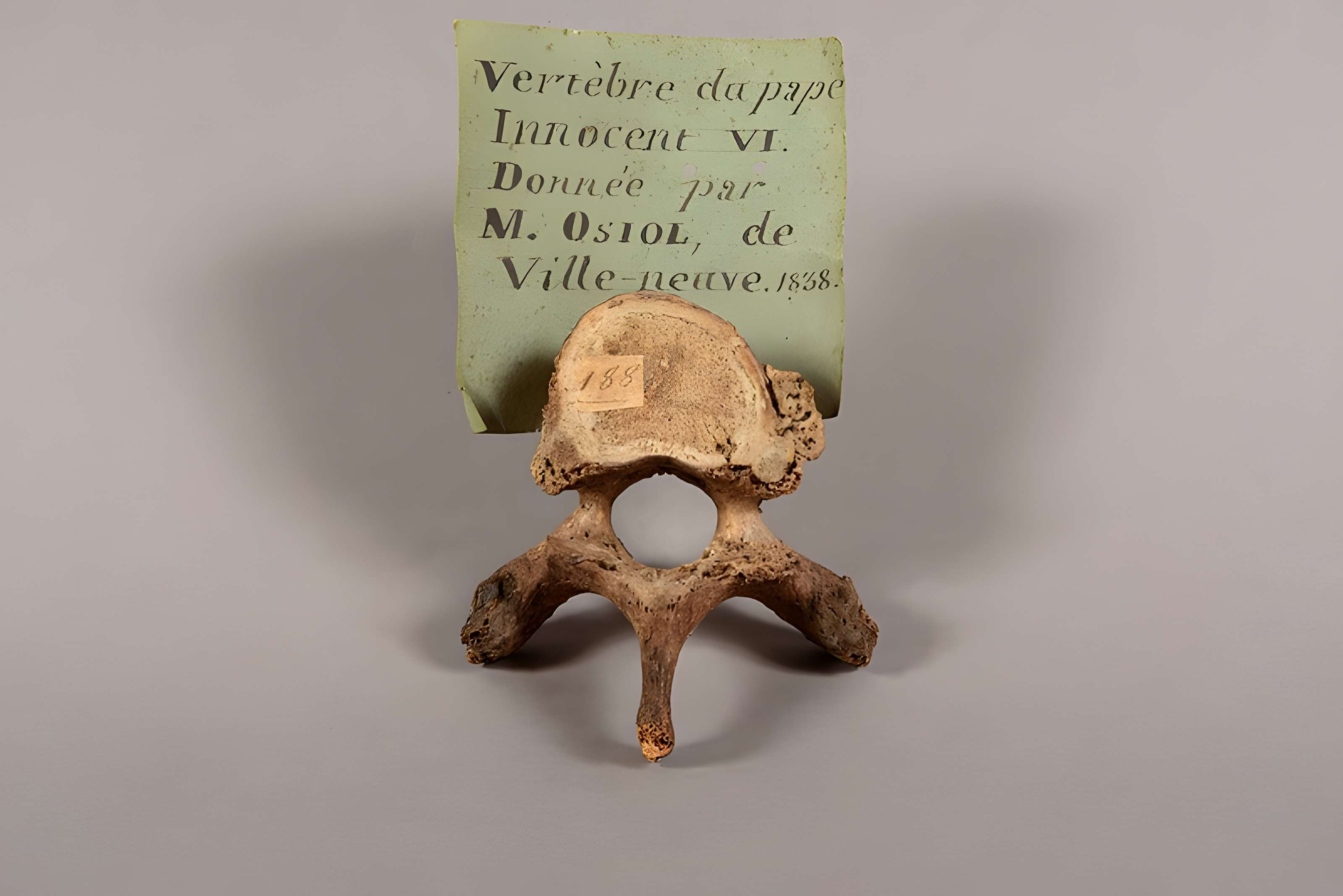 Musée Calvet (et musée Lapidaire)