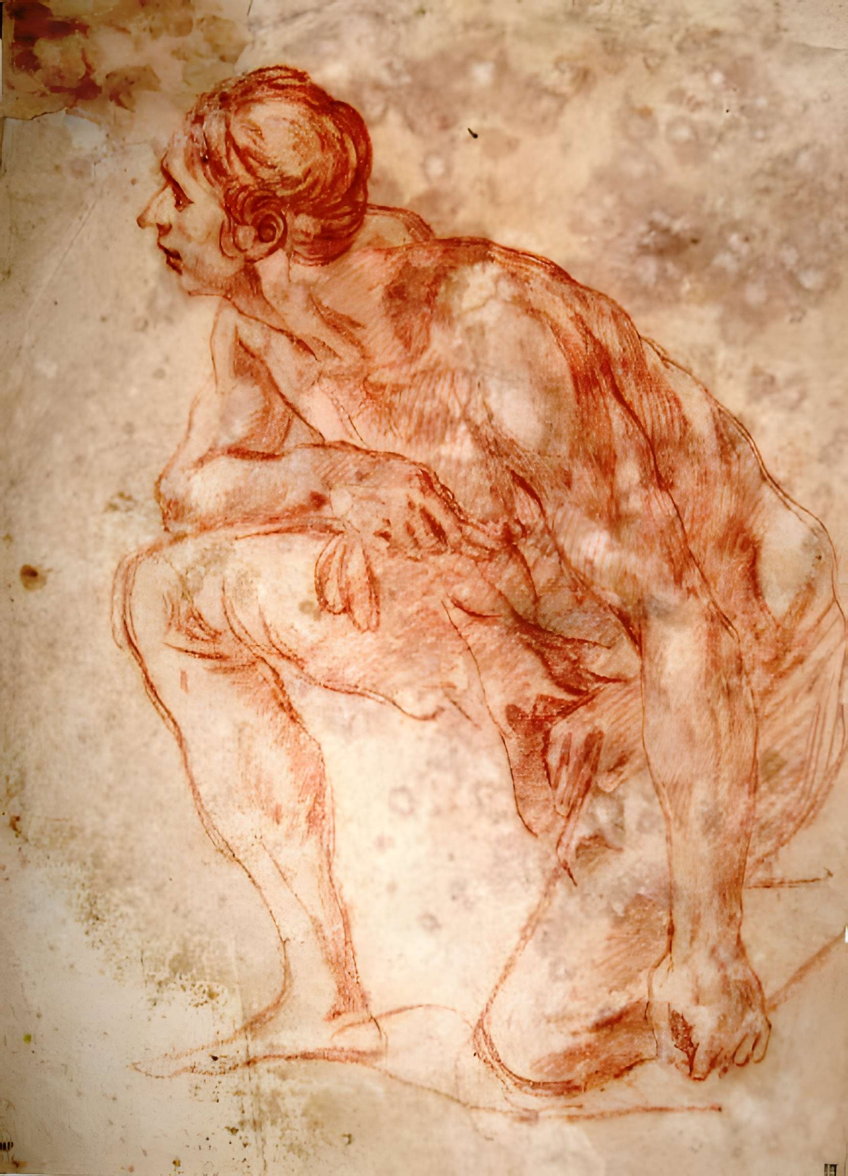 Musée Calvet (et musée Lapidaire)