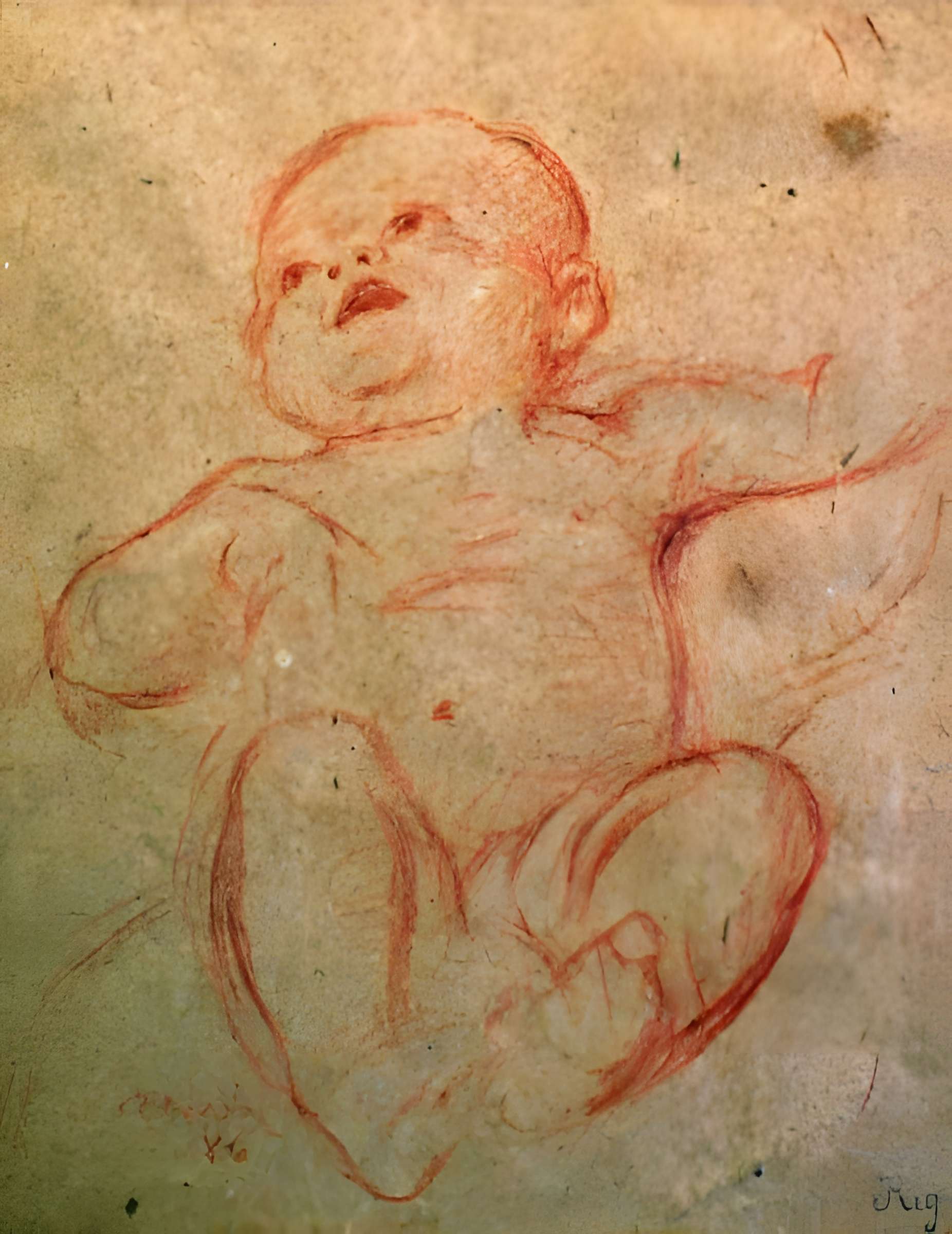 Musée Calvet (et musée Lapidaire)