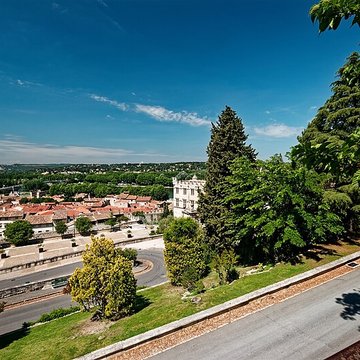 Musée du Petit Palais à Avignon