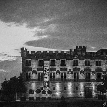 Musée du Petit Palais à Avignon