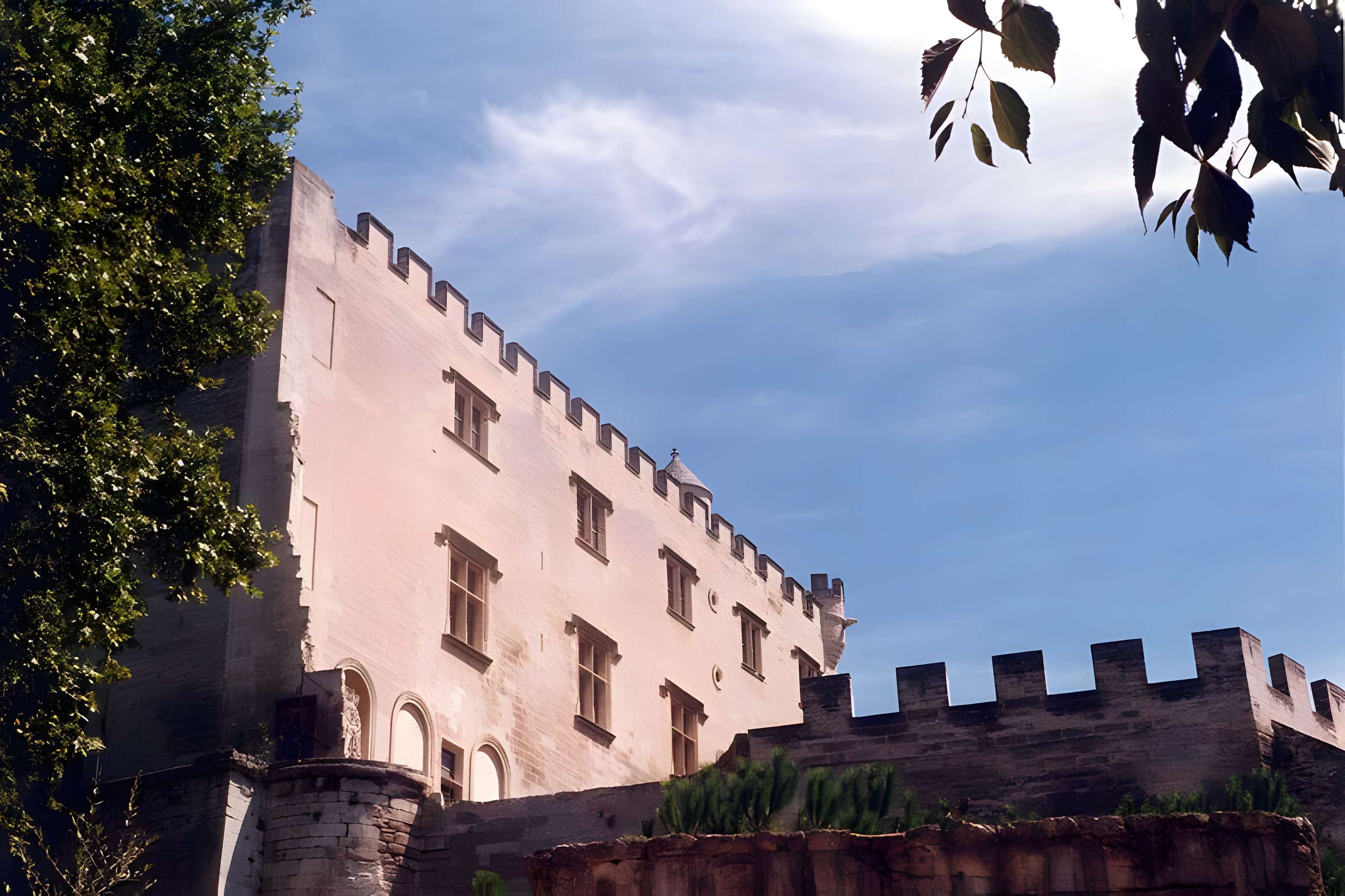 Musée du Petit Palais à Avignon