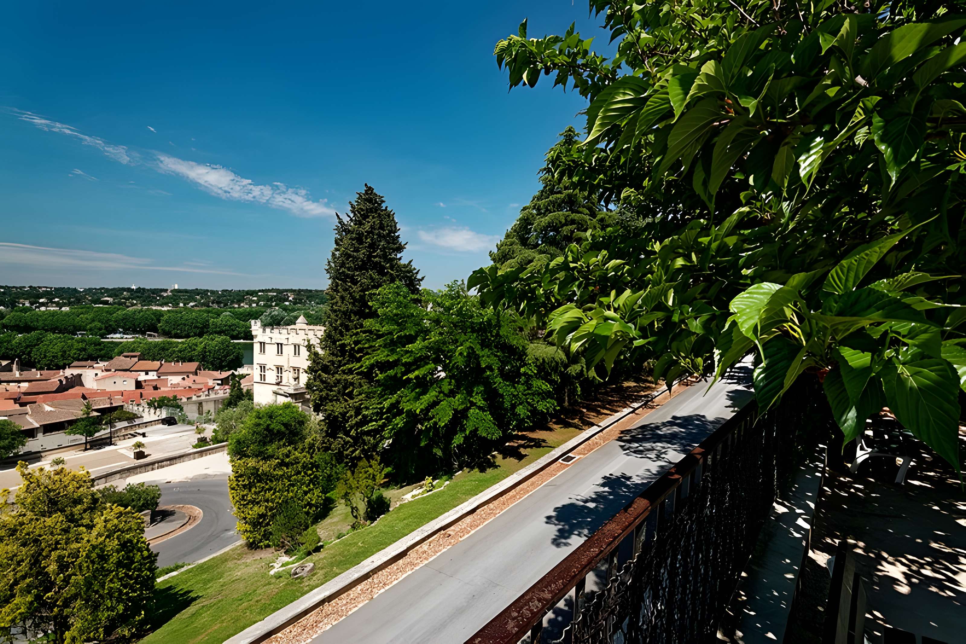 Musée du Petit Palais à Avignon