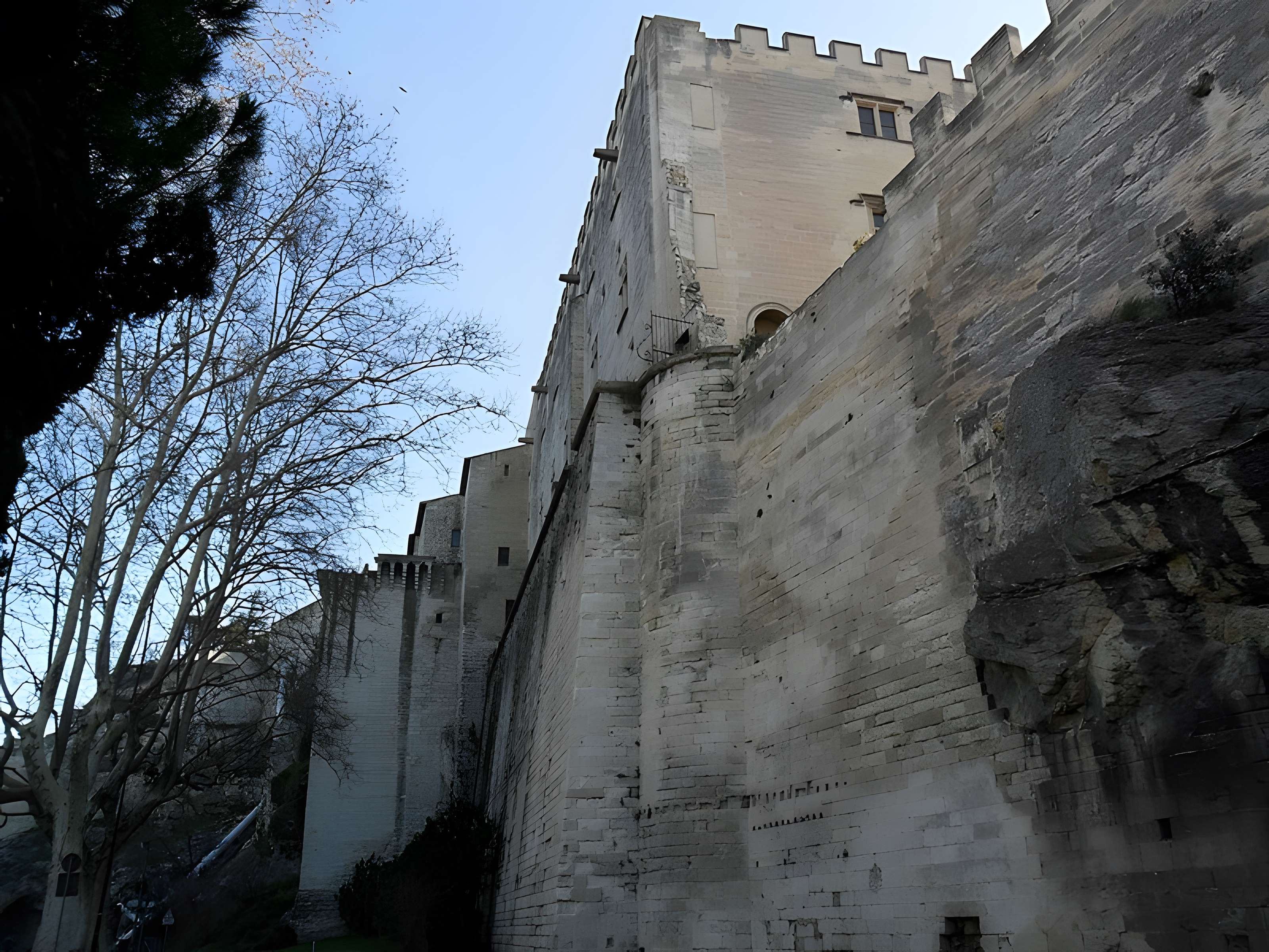Musée du Petit Palais à Avignon