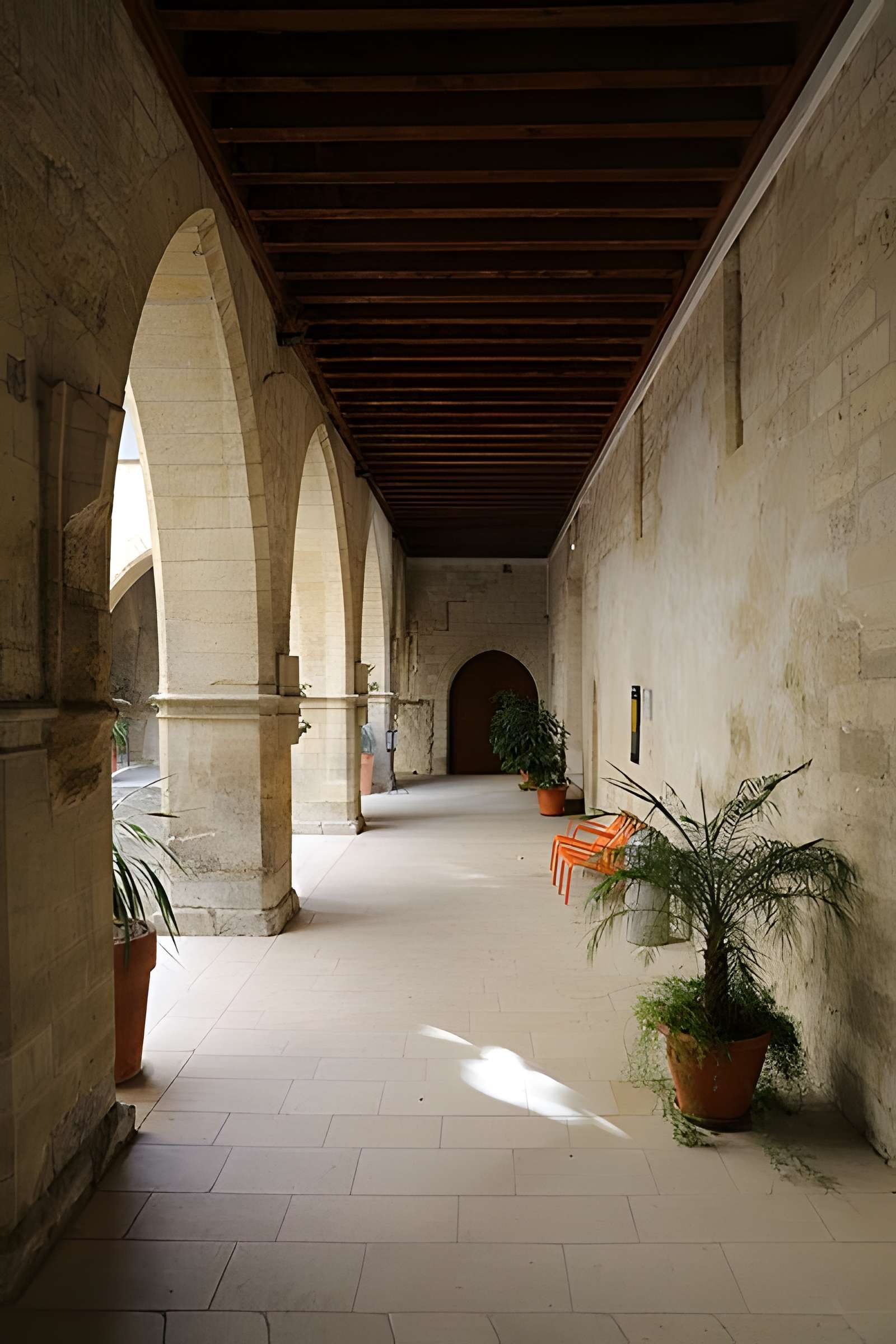 Musée du Petit Palais à Avignon