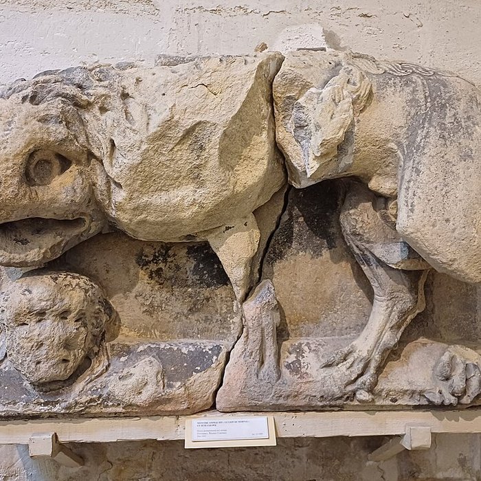 Photo de Musée lapidaire dAvignon