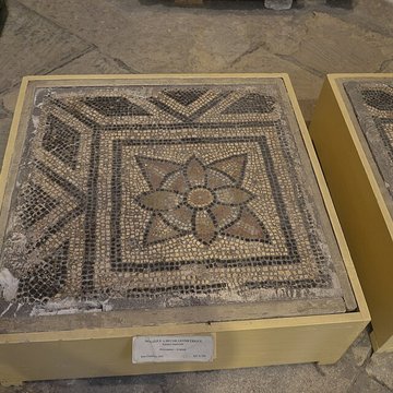 Musée lapidaire dAvignon