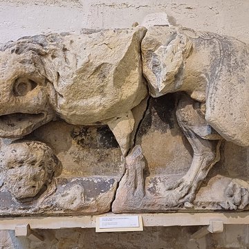 Musée lapidaire dAvignon