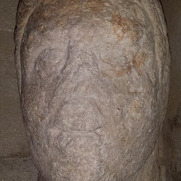 Musée lapidaire dAvignon