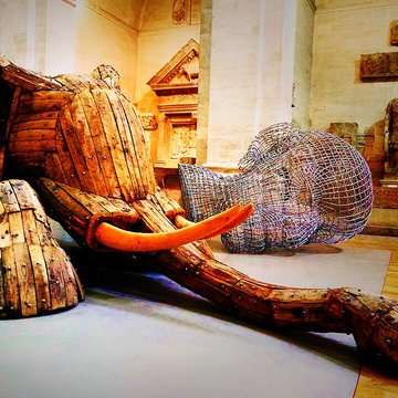 Musée lapidaire dAvignon