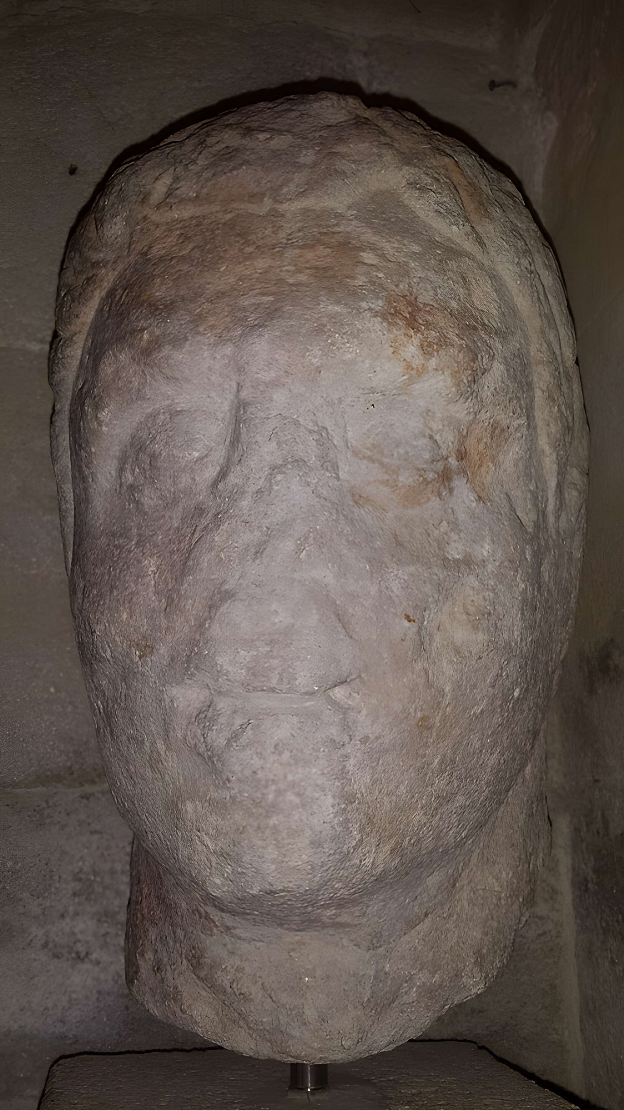 Musée lapidaire d'Avignon