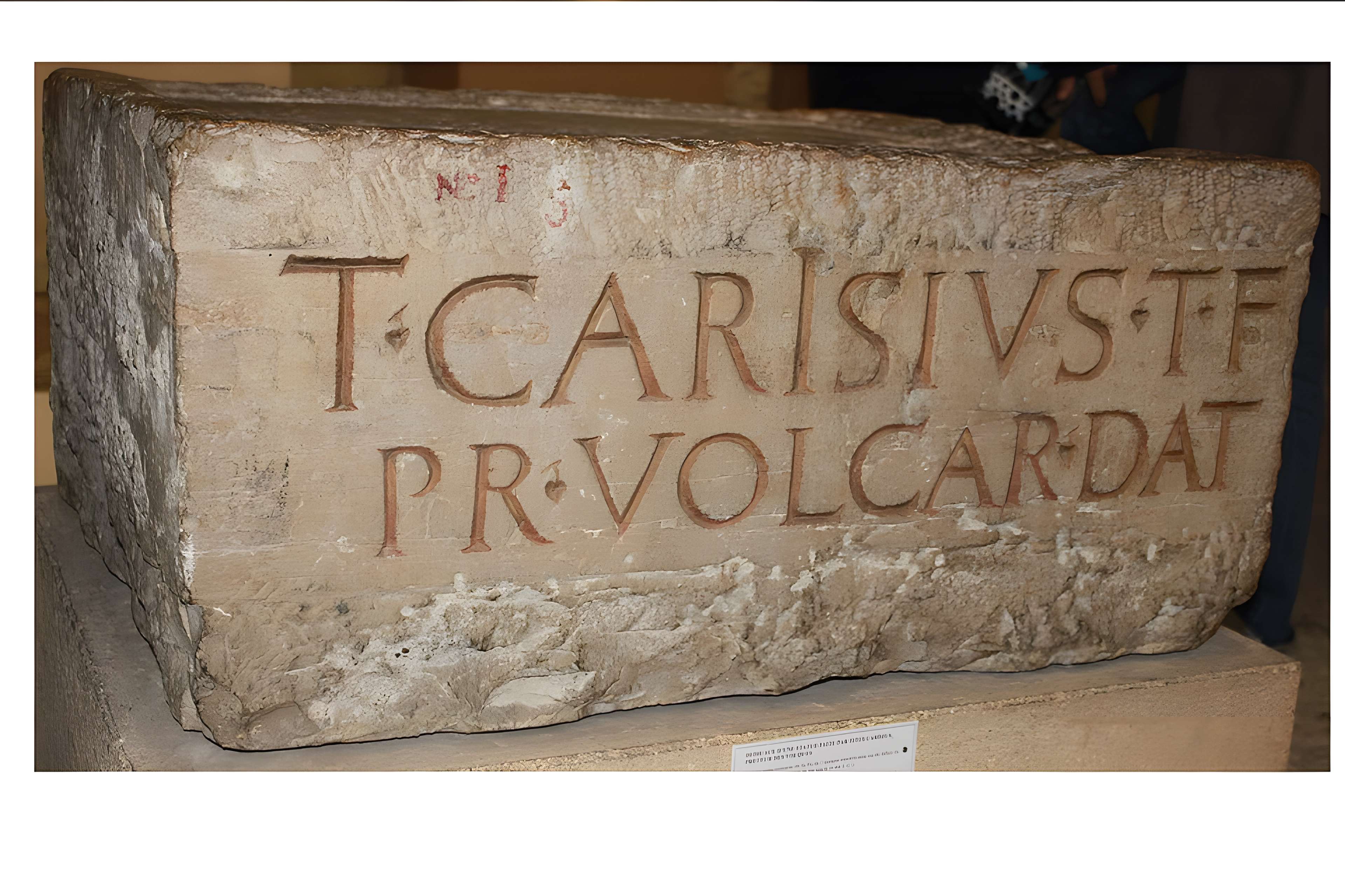 Musée lapidaire d'Avignon