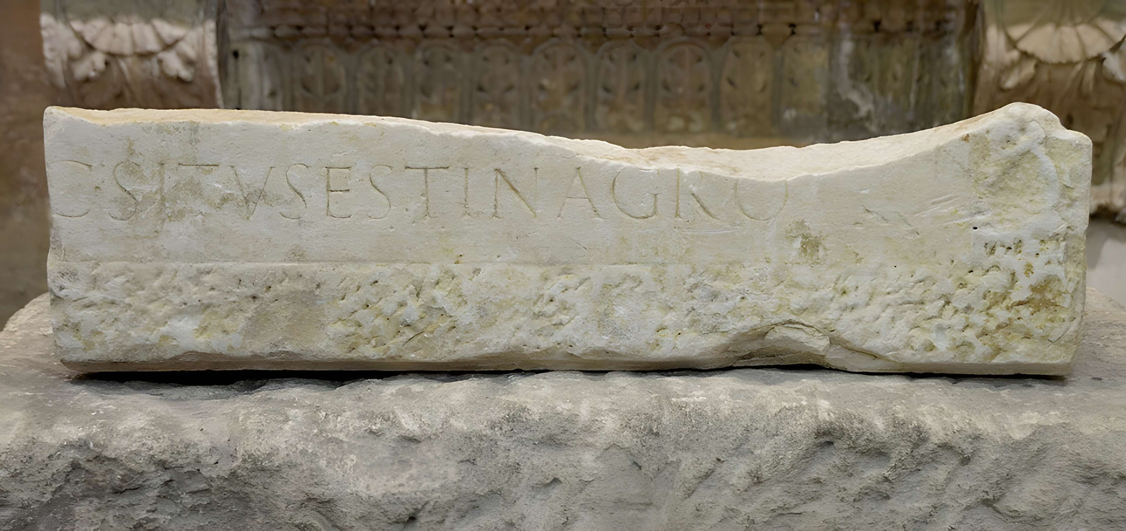 Musée lapidaire d'Avignon