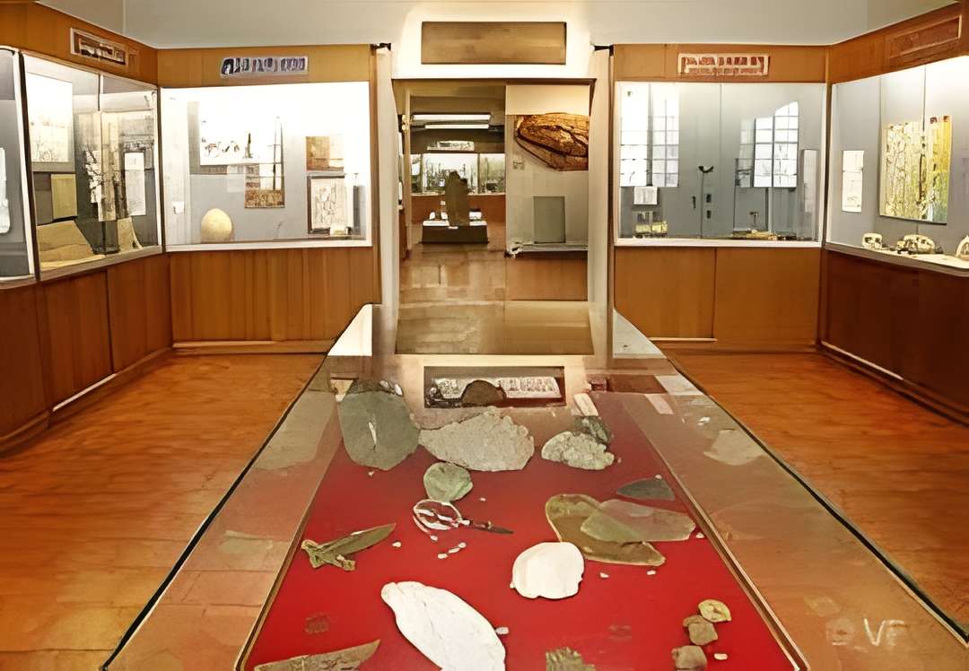 Musée Requien à Avignon intérieur du musée