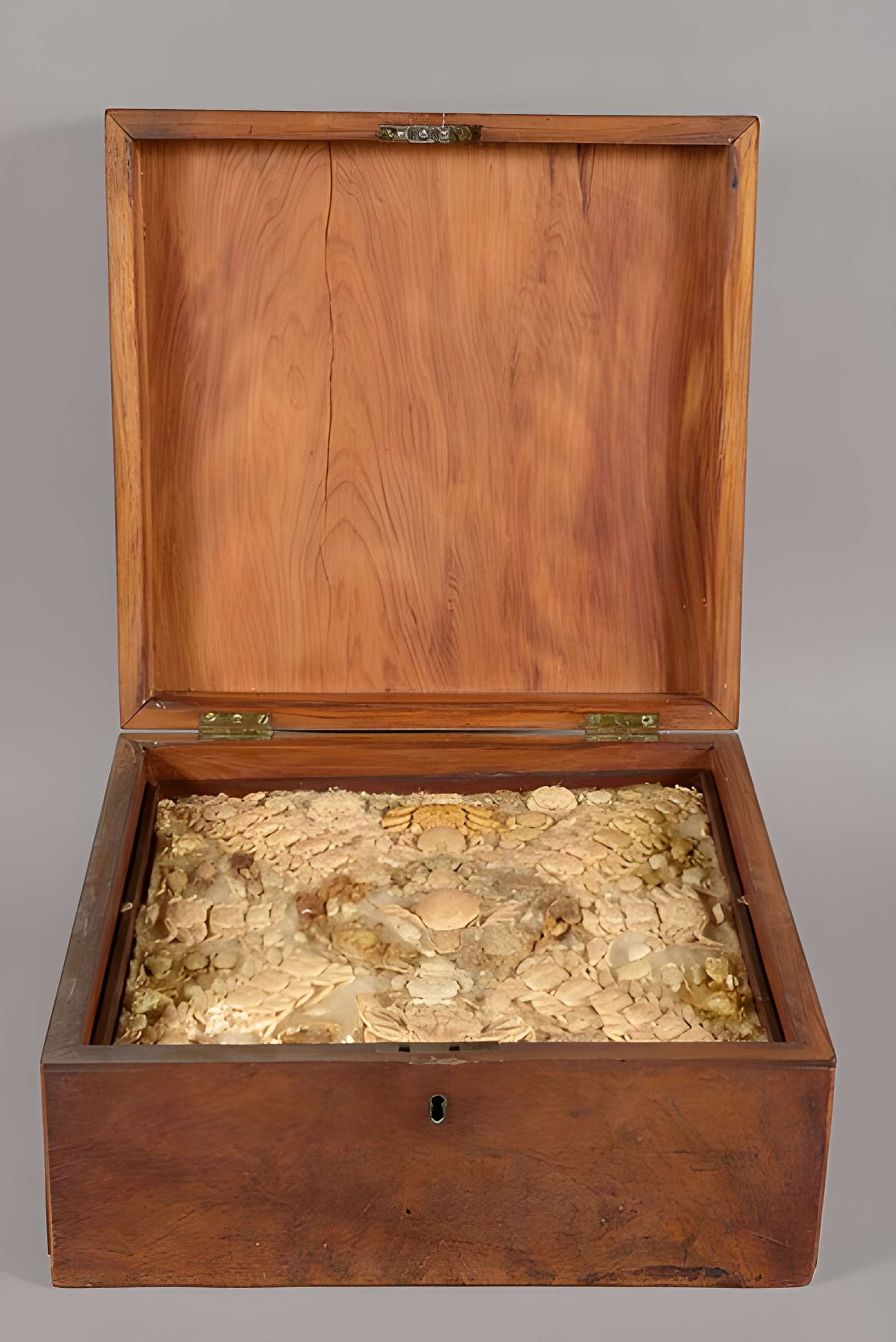 Muséum d'histoire naturelle Esprit Requien